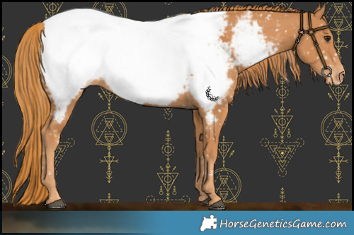 Horse Color:Chestnut Near Fewspot 