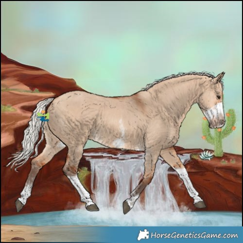 Horse Color:Silver Bay Dun Sabino Tobiano Frame Rabicano 