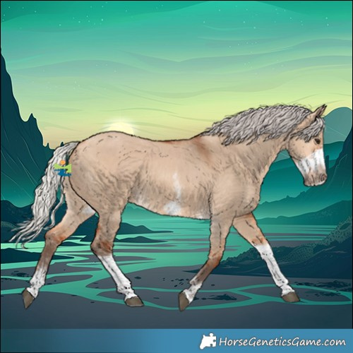 Horse Color:Silver Bay Dun Sabino Tobiano Frame Rabicano