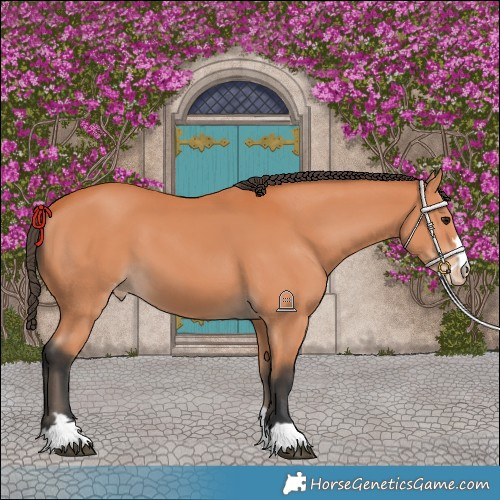 Horse Color:Bay Varnish