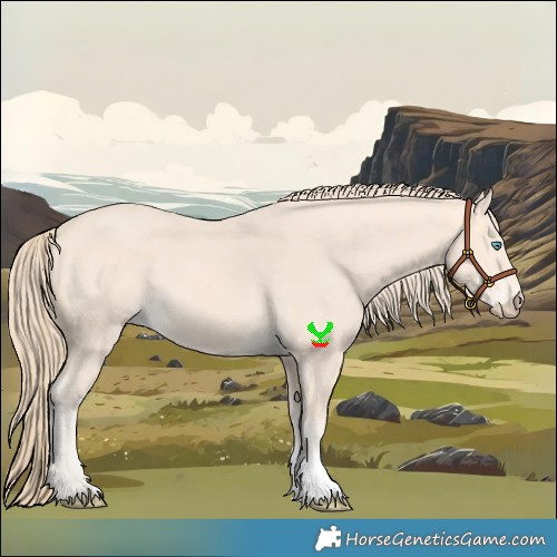 Horse Color:Perlino