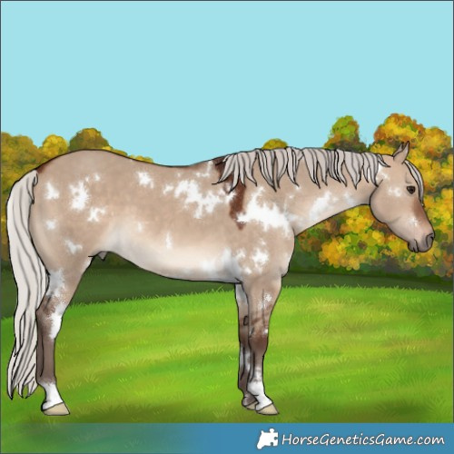 Horse Color:White Spotted Silver Brown Dun