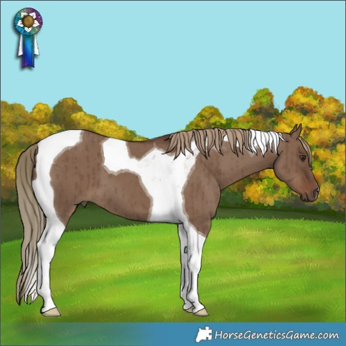 Horse Color:Liver Red Dun Tobiano Brindle