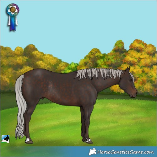 Horse Color:Silver Brown Rabicano