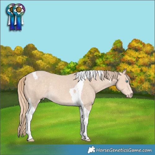 Horse Color:Perlino Tobiano Rabicano