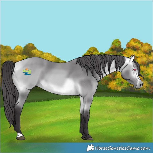 Horse Color:Platinum Buckskin Chinchilla