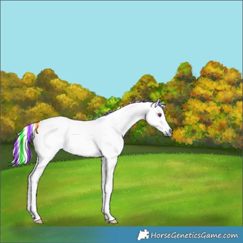 Horse Color:Painted Palomino Chinchilla
