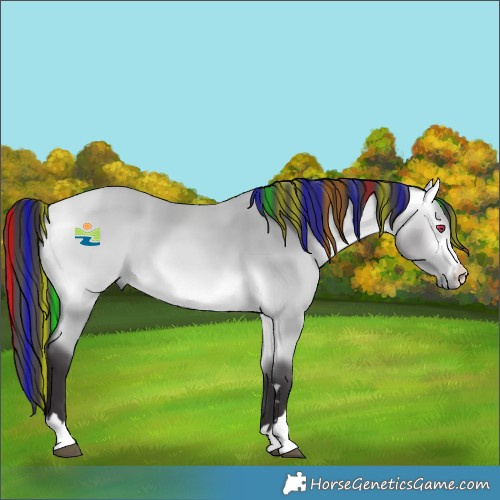 Horse Color:Platinum Painted Buckskin Chinchilla