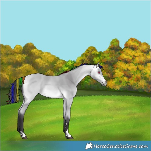 Horse Color:Platinum Painted Buckskin Chinchilla 