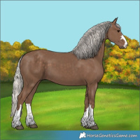 Horse Color:Silver Black 