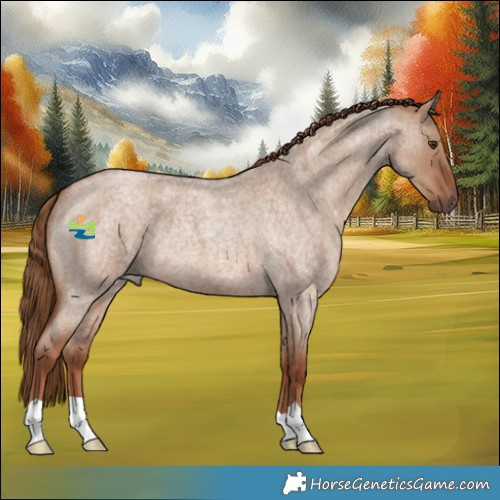 Horse Color:Red Dun Roan