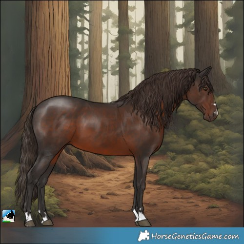 Horse Color:Liver Chestnut
