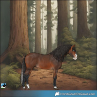 Horse Color:Bay Splash 