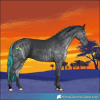 Horse Color:ERROR: UNKNOWN ANOMALY