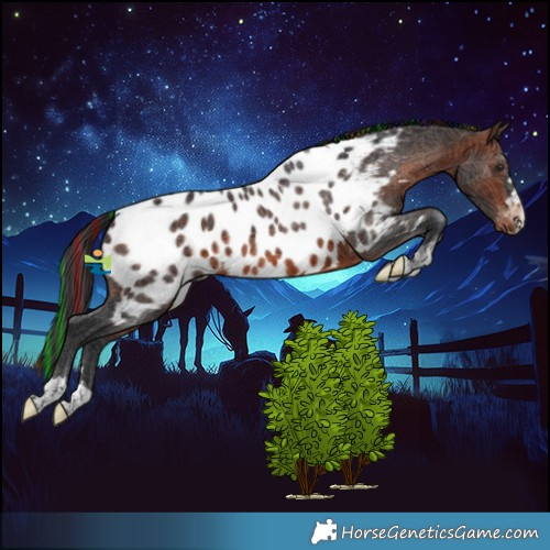 Horse Color:Painted Brown Near Leopard