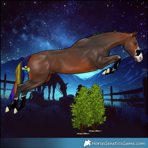 Horse Color:Painted Bay