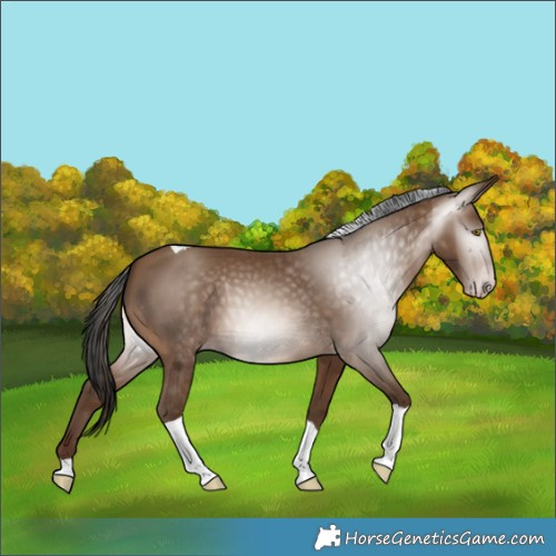 Horse Color:Gray Amber Champagne Tobiano 
