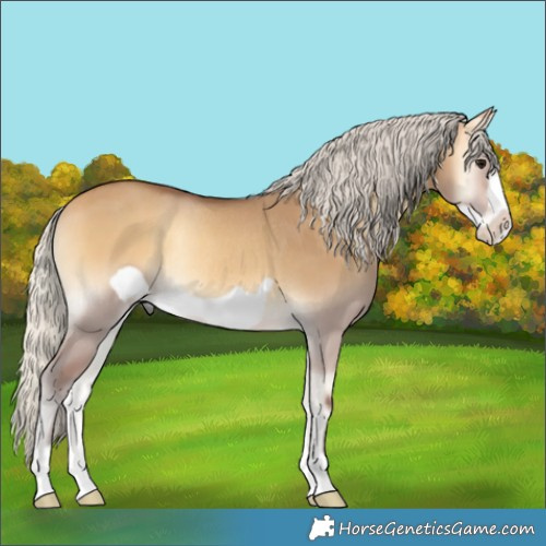 Horse Color:Silver Buckskin Onyx Frame Rabicano