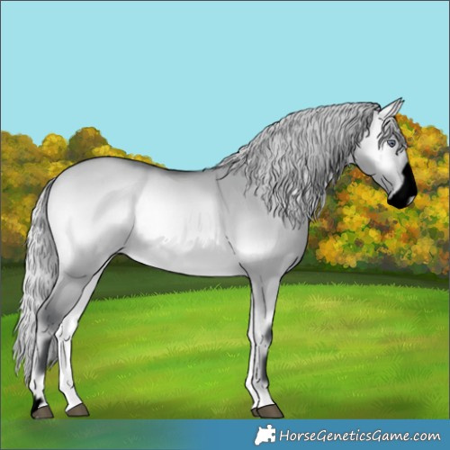 Horse Color:Void Silver Bay Chinchilla Onyx Frame