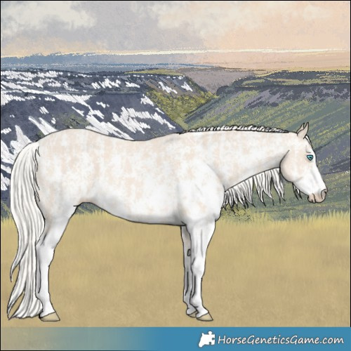 Horse Color:Cremello Sabino and Cremello Sabino