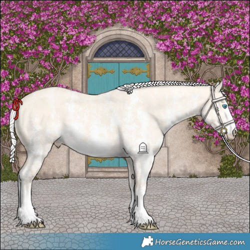 Horse Color:Silver Perlino Dun Sabino and Silver Perlino Dun Sabino