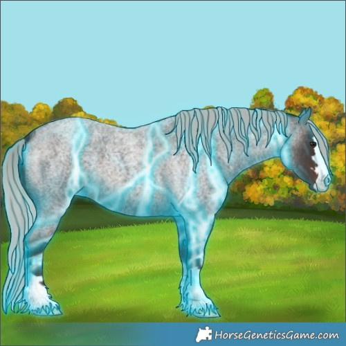 Horse Color:Thunderstruck Silver Brown Roan 