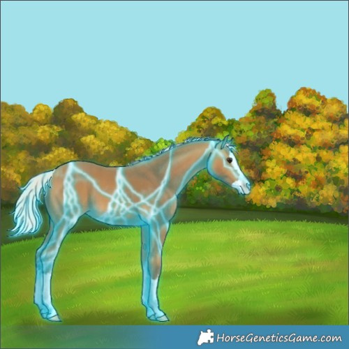 Horse Color:Thunderstruck Silver Buckskin Splash 