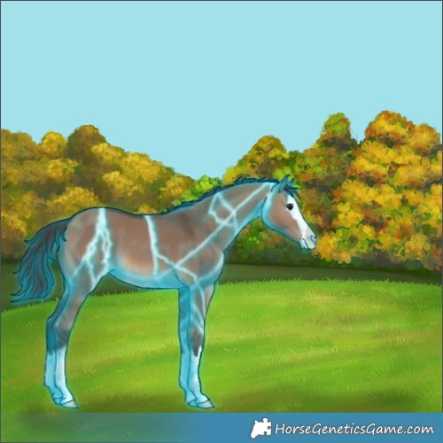 Horse Color:Thunderstruck Brown Dun Splash 