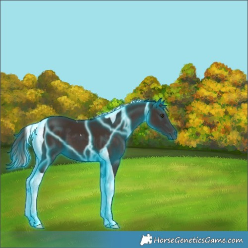 Horse Color:Thunderstruck Liver Chestnut Tobiano 