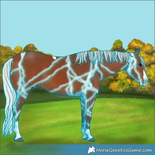 Horse Color:Thunderstruck Silver Bay Splash Tobiano 