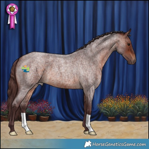 Horse Color:Chocolate Brown Roan