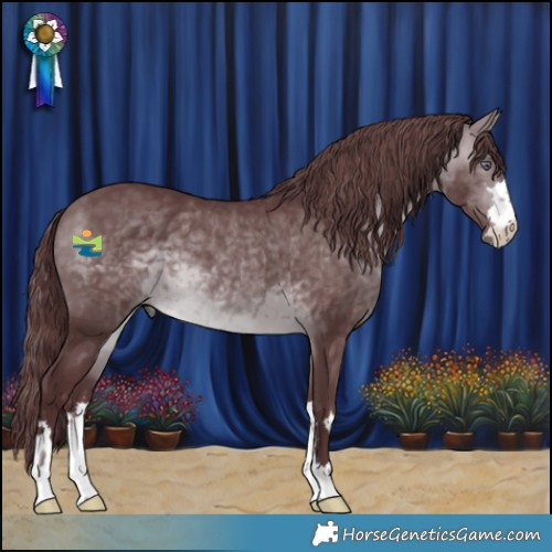 Horse Color:Chocolate Brown Chinchilla