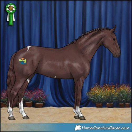 Horse Color:Chocolate Black Tobiano
