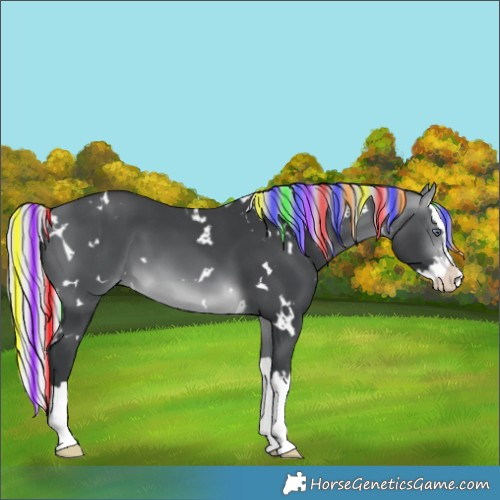 Horse Color:Painted White Spotted Silver Brown Chinchilla Splash
