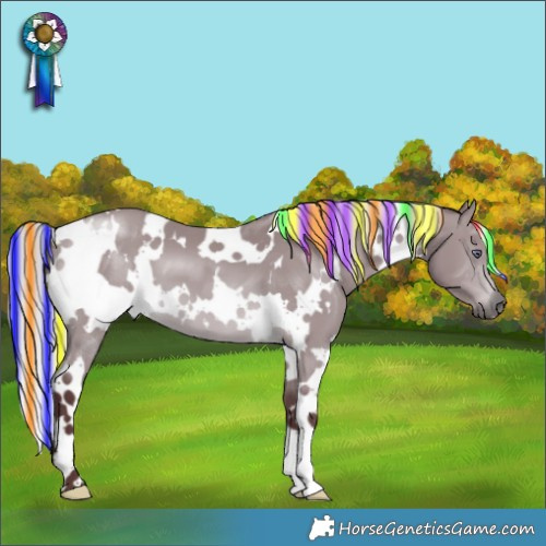 Horse Color:Painted White Spotted Chocolate Silver Brown Chinchilla