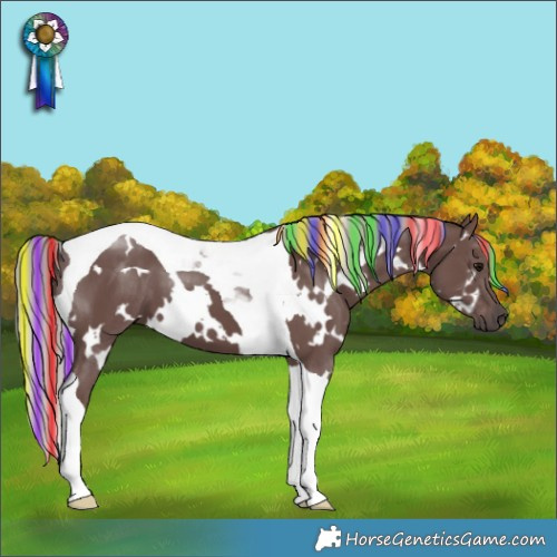 Horse Color:Painted White Spotted Chocolate Silver Black Tobiano 