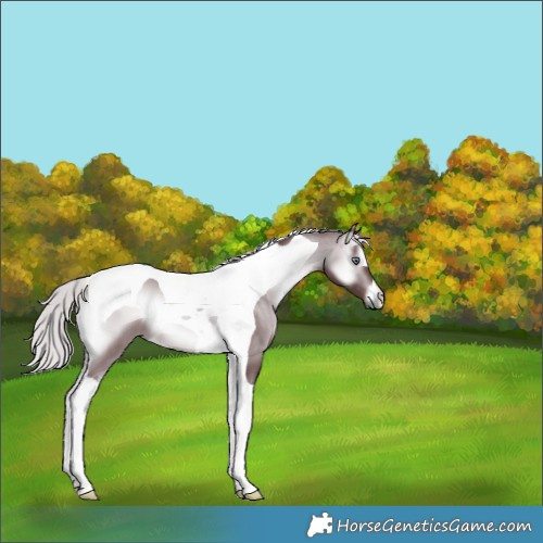 Horse Color:Chocolate Silver Brown Chinchilla Onyx Tobiano 