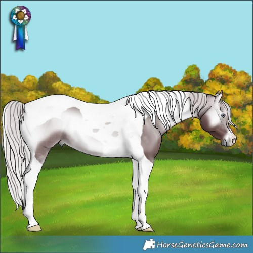 Horse Color:Chocolate Silver Brown Chinchilla Onyx Tobiano