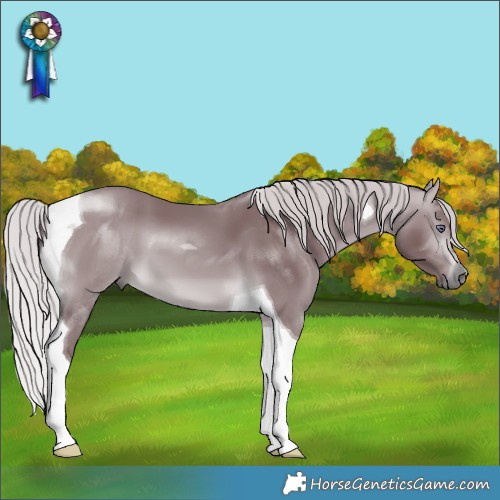 Horse Color:Chocolate Silver Bay Chinchilla Tobiano 