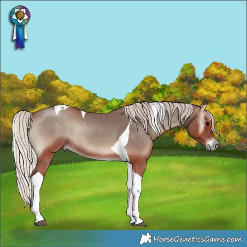 Horse Color:Chocolate Silver Blue Onyx Tobiano