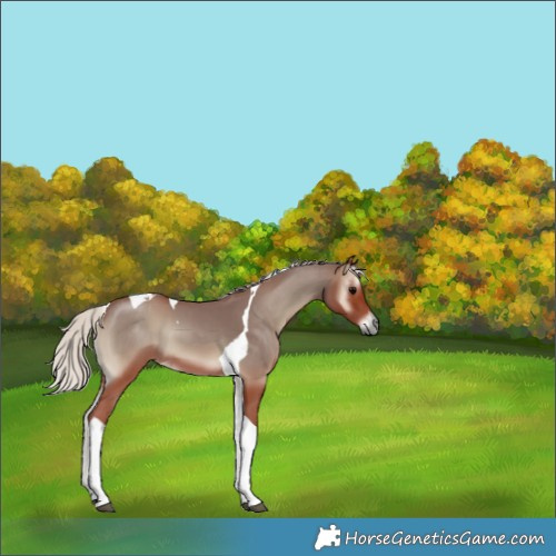 Horse Color:Chocolate Silver Blue Onyx Tobiano 