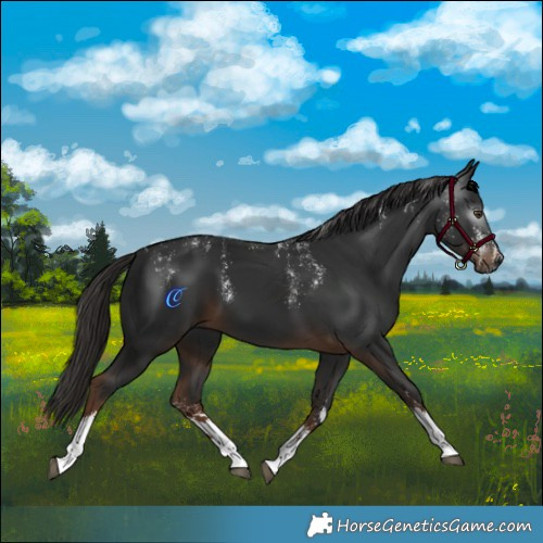 Horse Color:Powder White Gray White Spotted Liver Chestnut