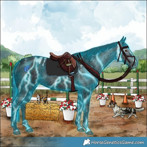 Horse Color:Powder White Gray Thunderstruck Liver Chestnut Splash Skewed Appaloosa 