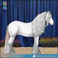 Horse Color:Chestnut Sabino