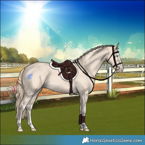 Horse Color:Powder White Perlino