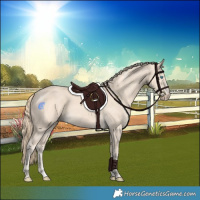 Horse Color:Powder White Perlino
