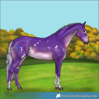 Horse Color:Gray Watercolor White Spotted Silver Brown Tobiano Rabicano