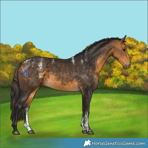 Horse Color:Powder White Buckskin 