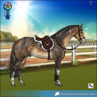 Horse Color:Powder White Buckskin Tobiano