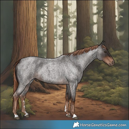 Horse Color:Liver Red Roan 